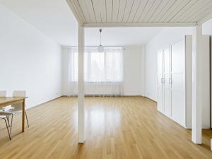 Pronájem bytu 1+kk, Praha - Motol, Kudrnova, 39 m2