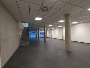 Pronájem obchodního prostoru, Brno, Polní, 156 m2