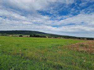 Prodej zemědělské půdy, Hostomice, 6762 m2