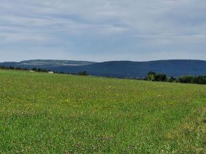 Prodej zemědělské půdy, Hostomice, 6762 m2