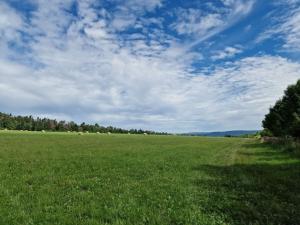 Prodej zemědělské půdy, Hostomice, 6762 m2