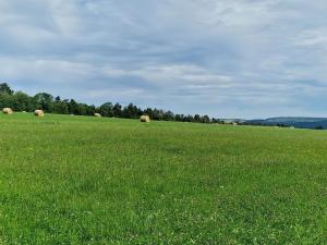 Prodej zemědělské půdy, Hostomice, 6762 m2