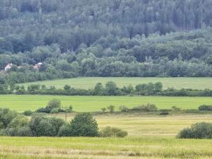 Prodej zemědělské půdy, Hostomice, 6762 m2