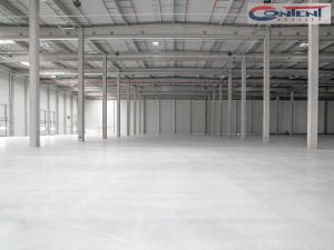 Pronájem výrobních prostor, Odrava - Obilná, 10000 m2