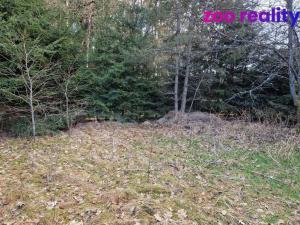 Prodej pozemku pro bydlení, Chlum u Třeboně, 665 m2