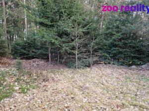 Prodej pozemku pro bydlení, Chlum u Třeboně, 665 m2