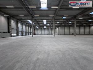 Pronájem výrobních prostor, Pardubice - Rosice, Salavcova, 7600 m2