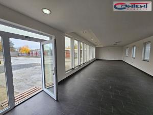 Pronájem komerčního pozemku, Plzeň - Skvrňany, Domažlická, 1450 m2