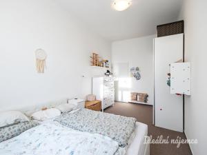 Pronájem bytu 2+kk, Praha - Karlín, Březinova, 50 m2