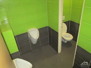 Prodej restaurace, Luka nad Jihlavou, Hřbitovní, 688 m2