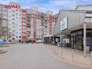 Prodej bytu 2+1, Plzeň, Hodonínská, 48 m2