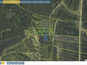 Prodej trvalého travního porostu, Vlkančice, 45717 m2
