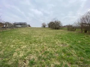 Prodej pozemku pro bydlení, Tršice, 2341 m2