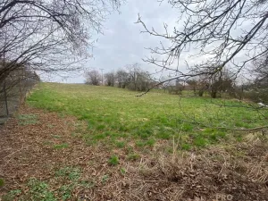 Prodej pozemku pro bydlení, Tršice, 2341 m2