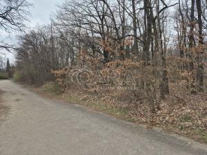 Pronájem pozemku, Praha - Háje, 2000 m2