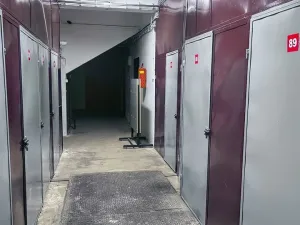 Pronájem skladu, Plzeň - Jižní Předměstí, Americká, 1 m2