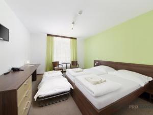 Prodej ubytování, Nový Hrozenkov, 830 m2
