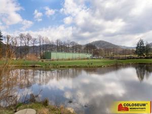 Prodej výrobních prostor, Nedvědice, 1382 m2