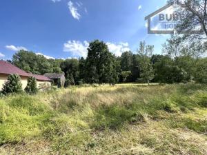 Prodej pozemku pro bydlení, Přimda - Mlýnec, 2341 m2