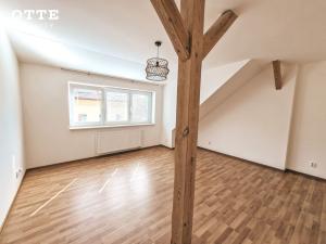 Prodej rodinného domu, Plzeň, Ruská, 350 m2