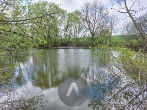 Prodej rybníku, Krásensko, 12045 m2