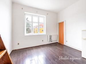 Pronájem bytu 1+kk, Praha - Michle, Michelská, 25 m2