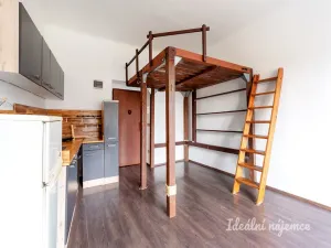 Pronájem bytu 1+kk, Praha - Michle, Michelská, 25 m2