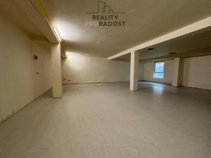 Pronájem obchodního prostoru, Karviná, Borovského, 220 m2