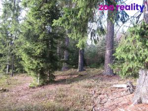 Prodej lesa, Deštná, 4056 m2