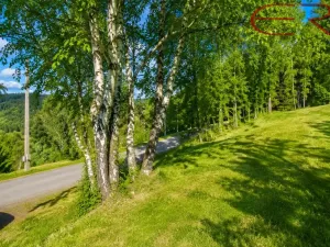 Prodej trvalého travního porostu, Janov nad Nisou - Hraničná, 2521 m2