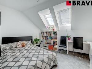 Prodej rodinného domu, Brno, V aleji, 425 m2