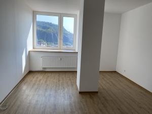Pronájem bytu 3+kk, Ústí nad Labem - Ústí nad Labem-centrum, Velká Hradební, 120 m2