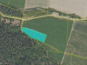 Prodej zemědělské půdy, Drevníky - Nechalov, 5312 m2
