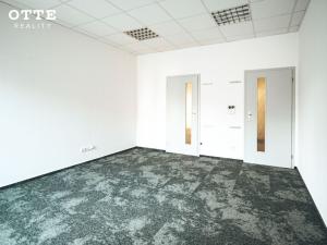 Prodej obchodního prostoru, Plzeň, Otýlie Beníškové, 260 m2