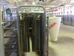 Prodej zemědělského objektu, Majdalena, 2000 m2