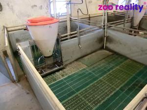 Prodej zemědělského objektu, Majdalena, 2000 m2