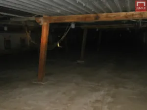 Prodej zemědělské usedlosti, Šternberk - Dalov, 4507 m2