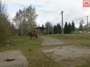 Prodej zemědělské usedlosti, Šternberk - Dalov, 4507 m2