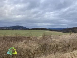 Prodej pozemku pro bydlení, Velemín - Oparno, 2226 m2