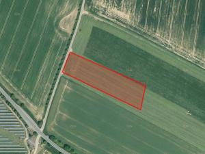 Prodej zemědělské půdy, Němčice, 77815 m2