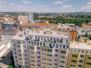 Pronájem bytu 3+1, Brno, Botanická, 131 m2