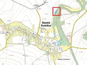 Prodej lesa, Slezské Rudoltice, 1176 m2