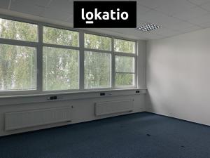 Pronájem kanceláře, Praha - Ruzyně, Na hůrce, 309 m2