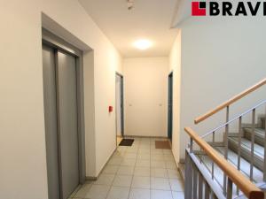 Pronájem bytu 2+kk, Brno, Vídeňská, 62 m2