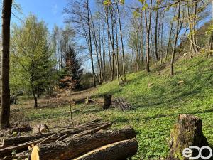 Prodej pozemku pro bydlení, Malá Skála, 3895 m2