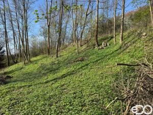 Prodej pozemku pro bydlení, Malá Skála, 3895 m2