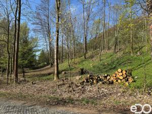 Prodej pozemku pro bydlení, Malá Skála, 3895 m2