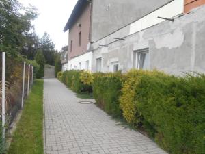 Pronájem bytu 1+kk, Hradec Králové - Svobodné Dvory, Bohdanečská, 35 m2