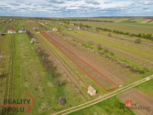 Prodej pozemku, Prušánky, Nechory, 1280 m2
