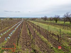 Prodej pozemku, Prušánky, Nechory, 1280 m2